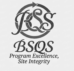 bsqs bsqs program excellence, site integrity