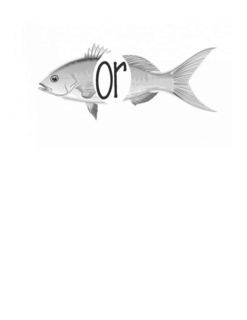 or
