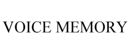 voice memory