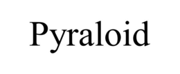 pyraloid