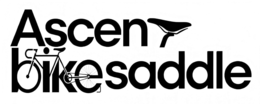 ascent bike saddle