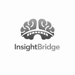 insight bridge