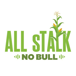 all stalk no bull