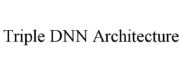 triple dnn architecture