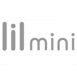 lil mini