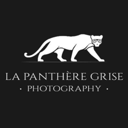 la panthÈre grise · photography ·
