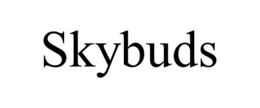 skybuds
