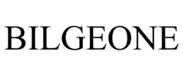 bilgeone