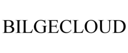 bilgecloud