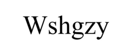 wshgzy