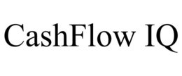 cashflow iq
