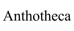 anthotheca