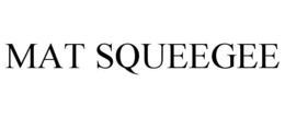mat squeegee
