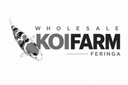 wholesale koi farm feringa