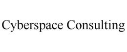 cyberspace consulting