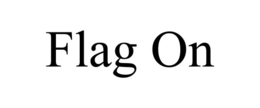 flag on