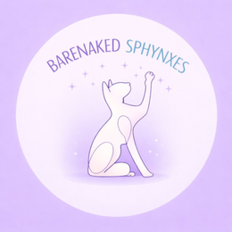 barenaked sphynxes