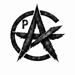 p a c k