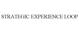 strategic experience loop