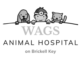 wags animal hospital on brickell key