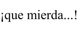 ¡que mierda...!