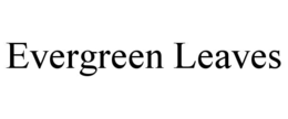 evergreen leaves