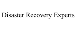 disaster recovery experts
