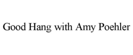 good hang with amy poehler