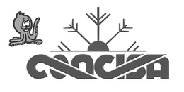 concisa