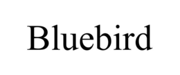 bluebird