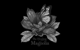 the healing magnolia