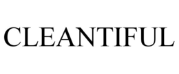 cleantiful