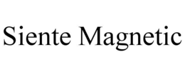 siente magnetic