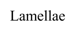 lamellae