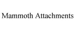 mammoth attachments