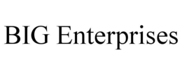 big enterprises