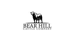 bear hill cattle company