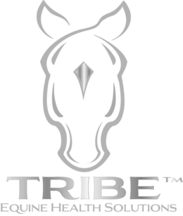 tribe equine health solutions