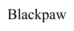 blackpaw