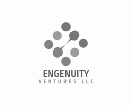 engenuity ventures llc