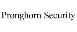 pronghorn security