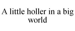 a little holler in a big world