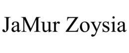 jamur zoysia