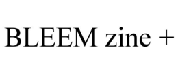 bleem zine +