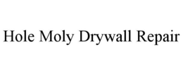 hole moly drywall repair