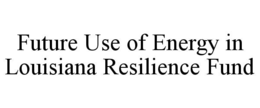 future use of energy in louisiana resilience fund