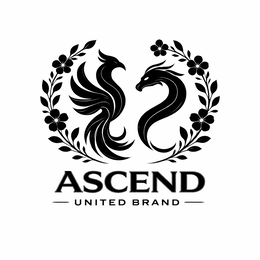ascend united brand