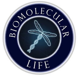 biomolecular life