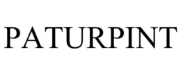 paturpint