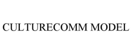 culturecomm model